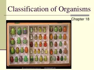 Classification of Organisms