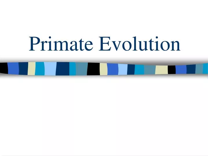 primate evolution