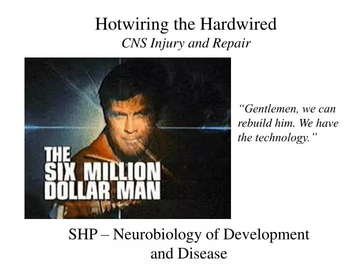 hotwiring the hardwired cns injury and repair