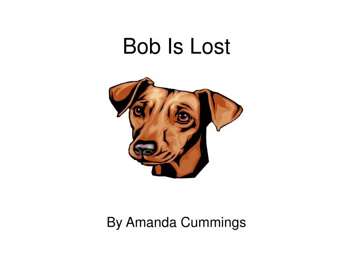 bob is lost