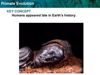KEY CONCEPT Humans appeared late in Earth’s history.