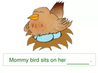 Mommy bird sits on her .