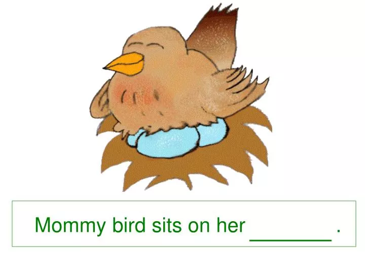 mommy bird sits on her