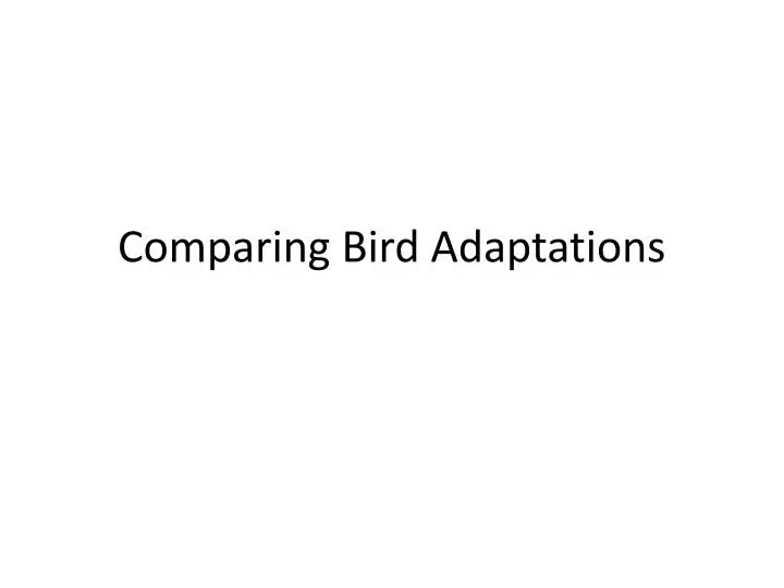 comparing bird adaptations