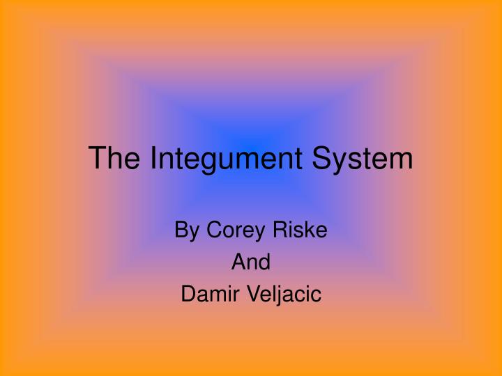 the integument system