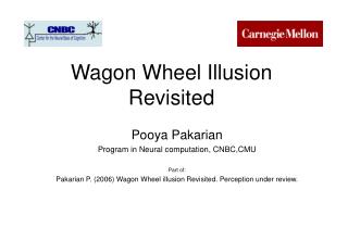 Wagon Wheel Illusion Revisited