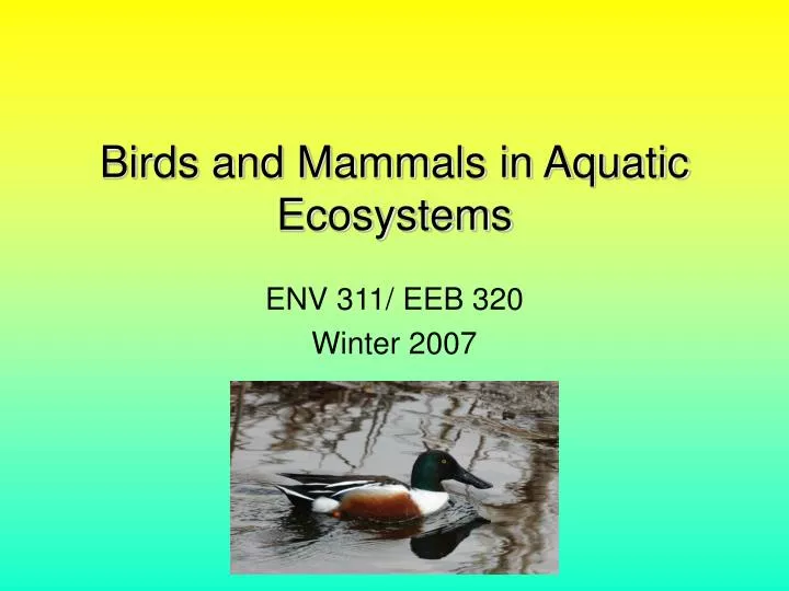 birds and mammals in aquatic ecosystems