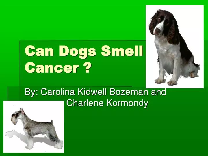 can dogs smell cancer