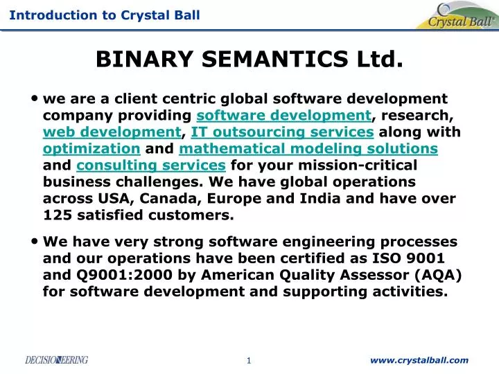 binary semantics ltd