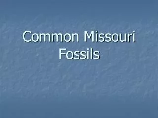 Common Missouri Fossils