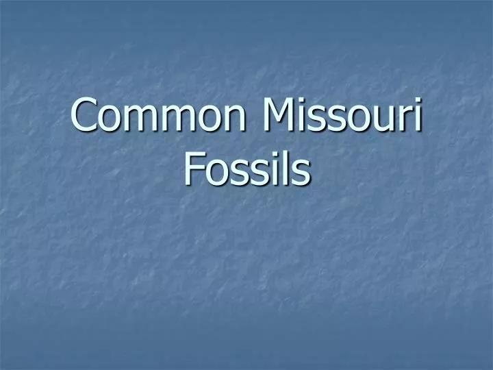 common missouri fossils