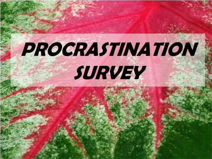 procrastination survey