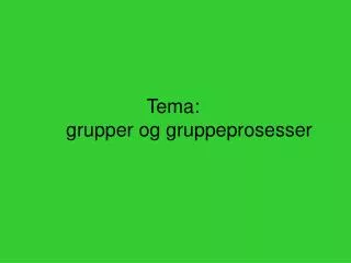 tema grupper og gruppeprosesser