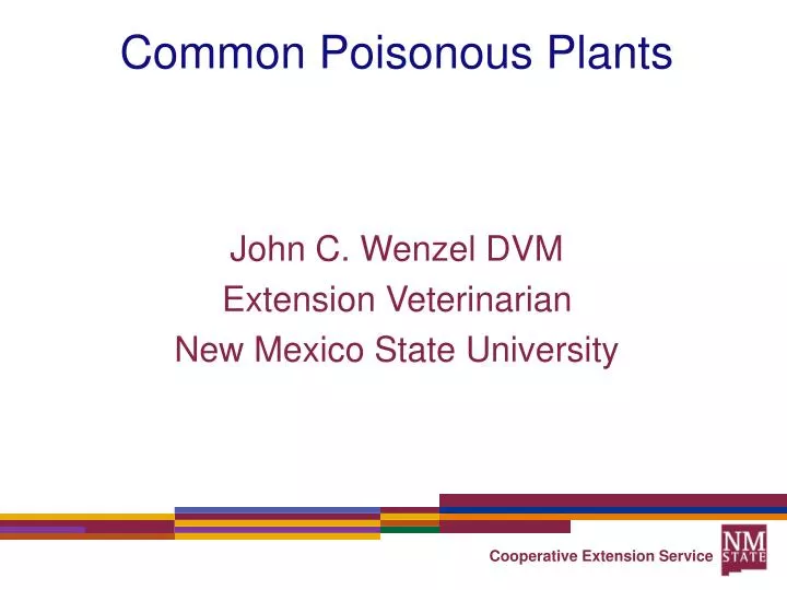 common poisonous plants