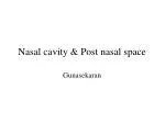 Nasal cavity &amp; Post nasal space