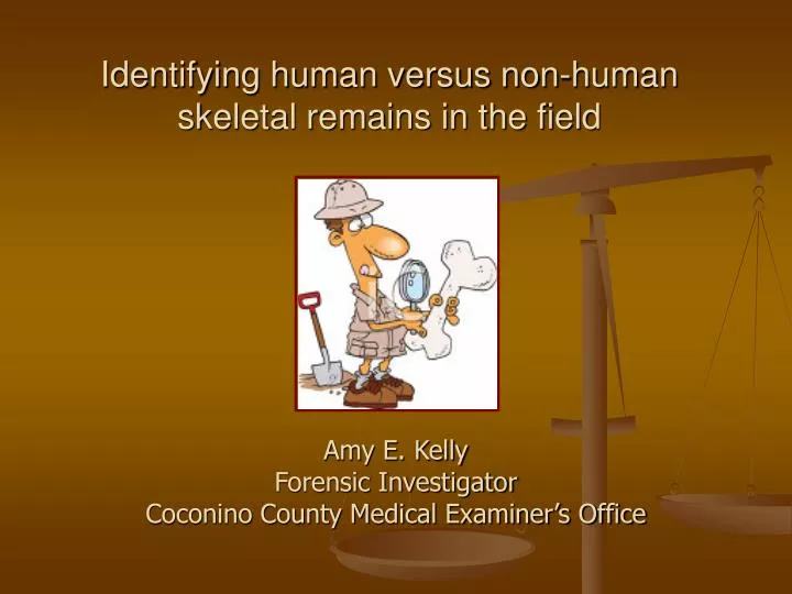 identifying human versus non human skeletal remains in the field
