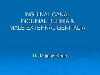 INGUINAL CANAL INGUINAL HERNIA &amp; MALE EXTERNAL GENITALIA