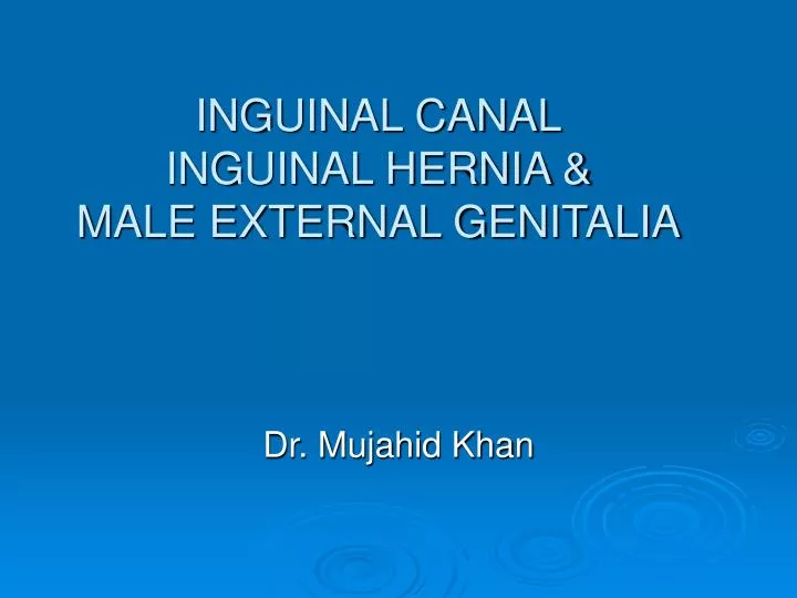 inguinal canal inguinal hernia male external genitalia