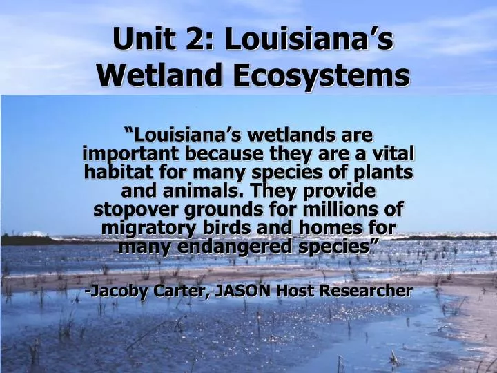 unit 2 louisiana s wetland ecosystems