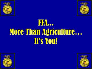 FFA... More Than Agriculture… It’s You!