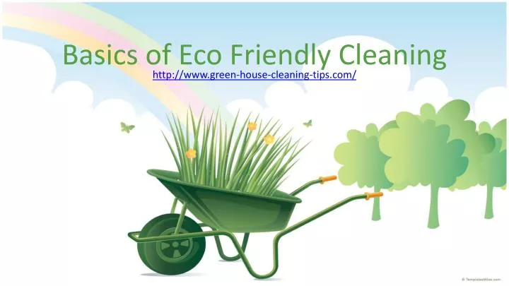 basics of eco friendly cleaning