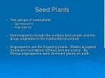 Seed Plants - slide 1