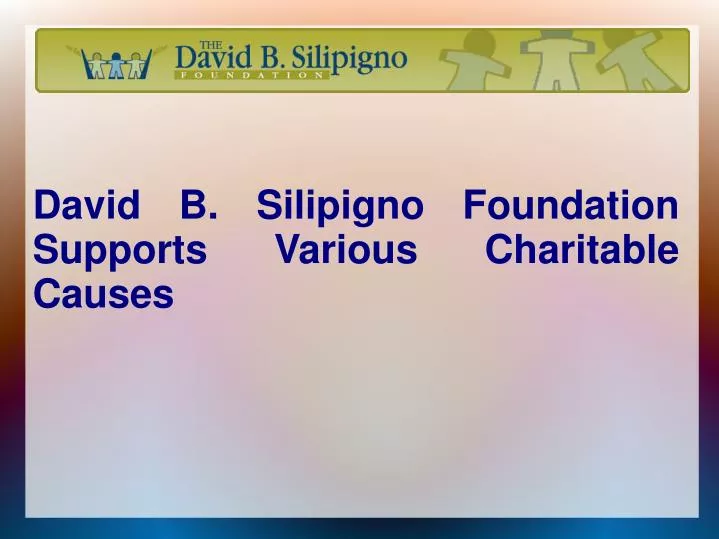david b silipigno foundation supports various charitable causes
