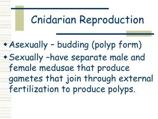 Cnidarian Reproduction