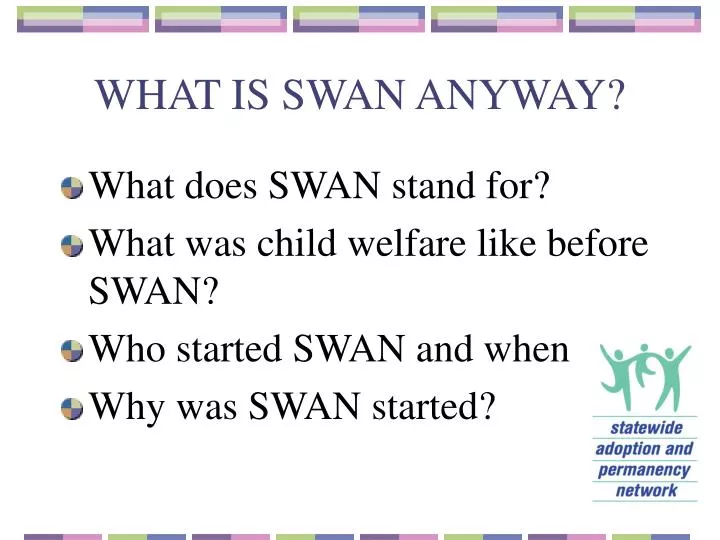 what is swan anyway