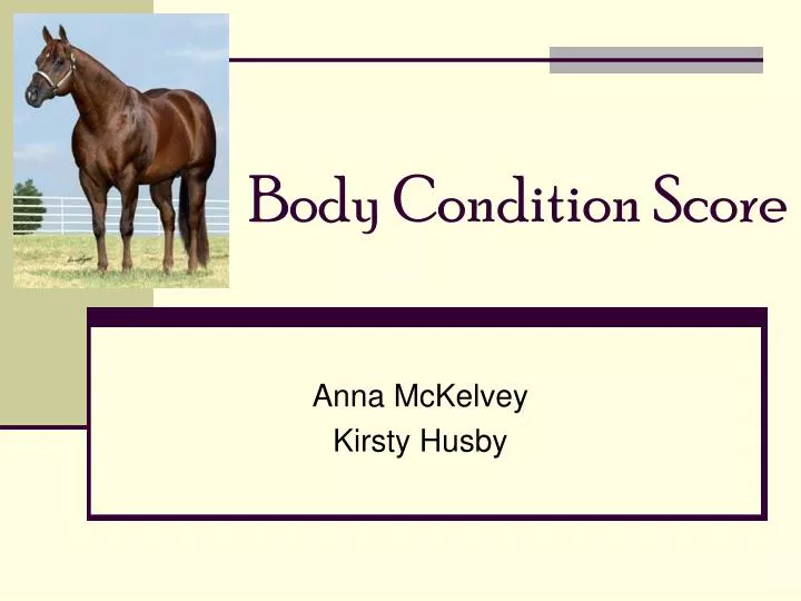 body condition score