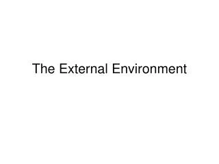 The External Environment