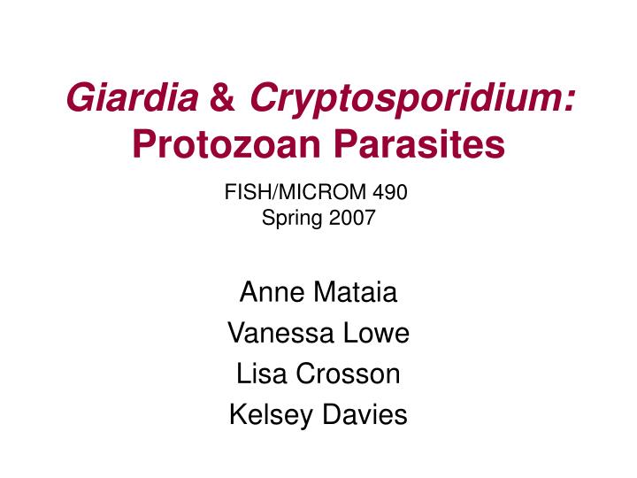 giardia cryptosporidium protozoan parasites
