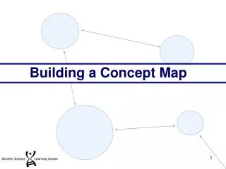Building a Concept Map