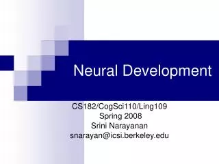 Neural Development