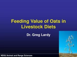 Feeding Value of Oats in Livestock Diets
