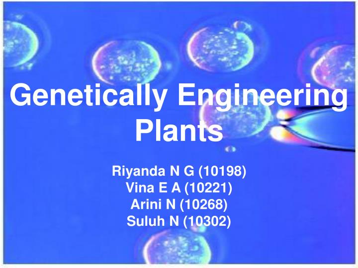 genetically engineering plants
