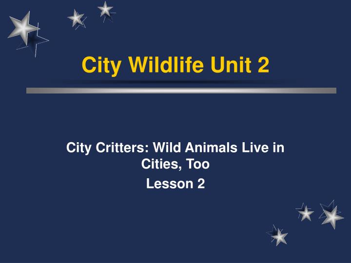 city wildlife unit 2