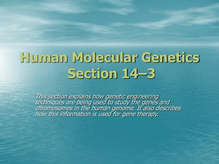 human molecular genetics section 14 3