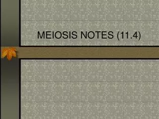 MEIOSIS NOTES (11.4)