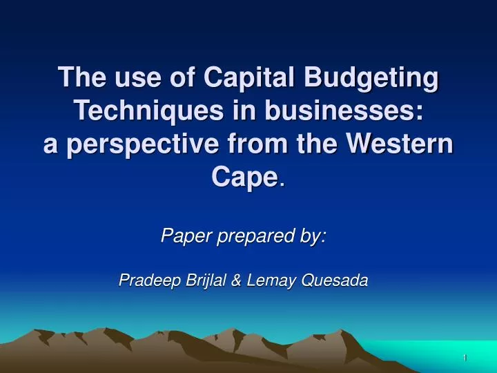 the use of capital budgeting techniques in businesses a perspective from the western cape