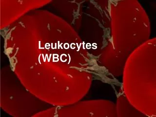 Leukocytes (WBC)