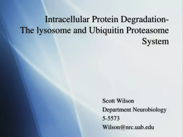 intracellular protein degradation the lysosome and ubiquitin proteasome system