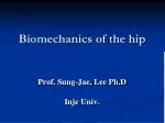 Biomechanics of the hip
