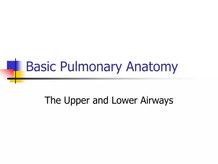 basic pulmonary anatomy