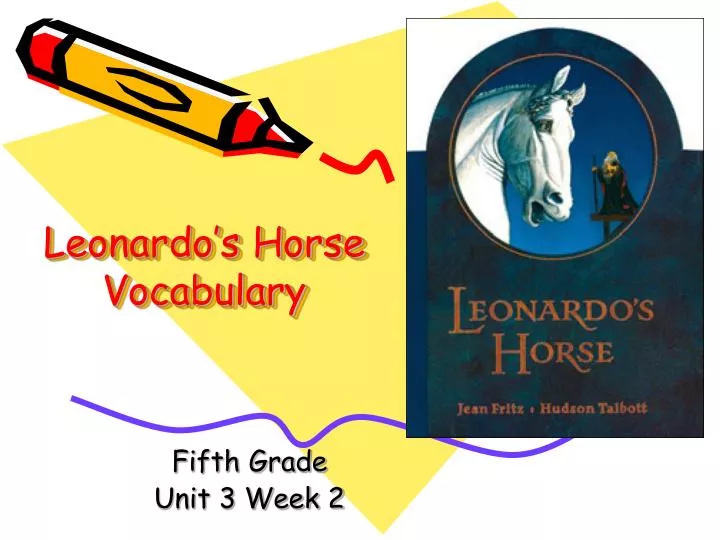 leonardo s horse vocabulary