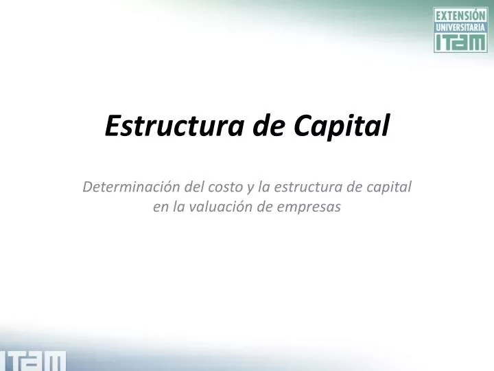 estructura de capital