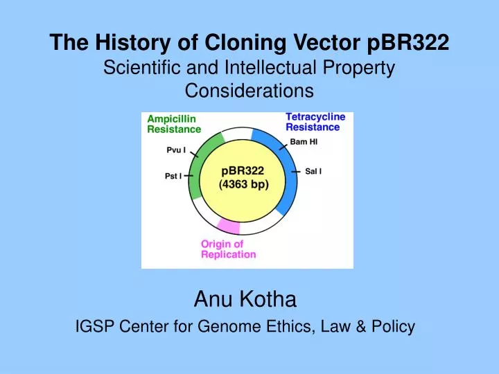the history of cloning vector pbr322 scientific and intellectual property considerations