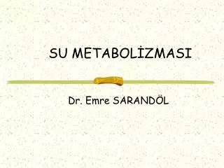 su metabol zmasi