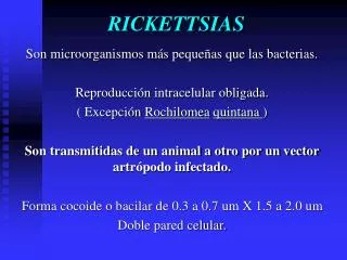 rickettsias