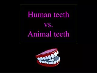 Human teeth vs. Animal teeth